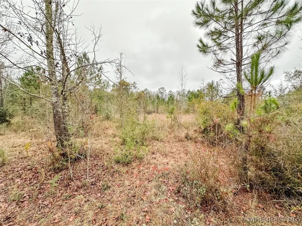 311 O Ashley Road Samson AL 36477