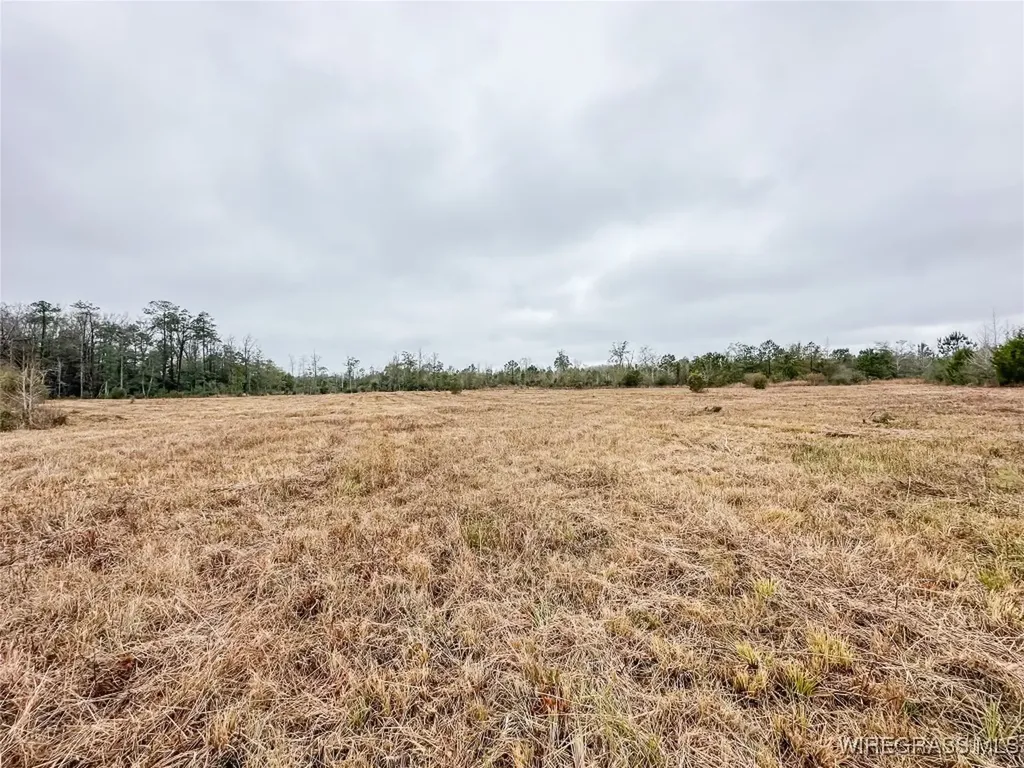 311 O Ashley Road Samson AL 36477