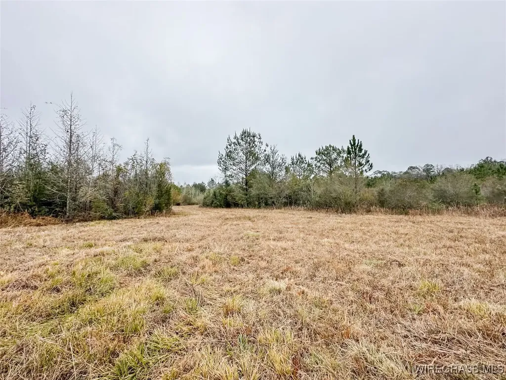 311 O Ashley Road Samson AL 36477
