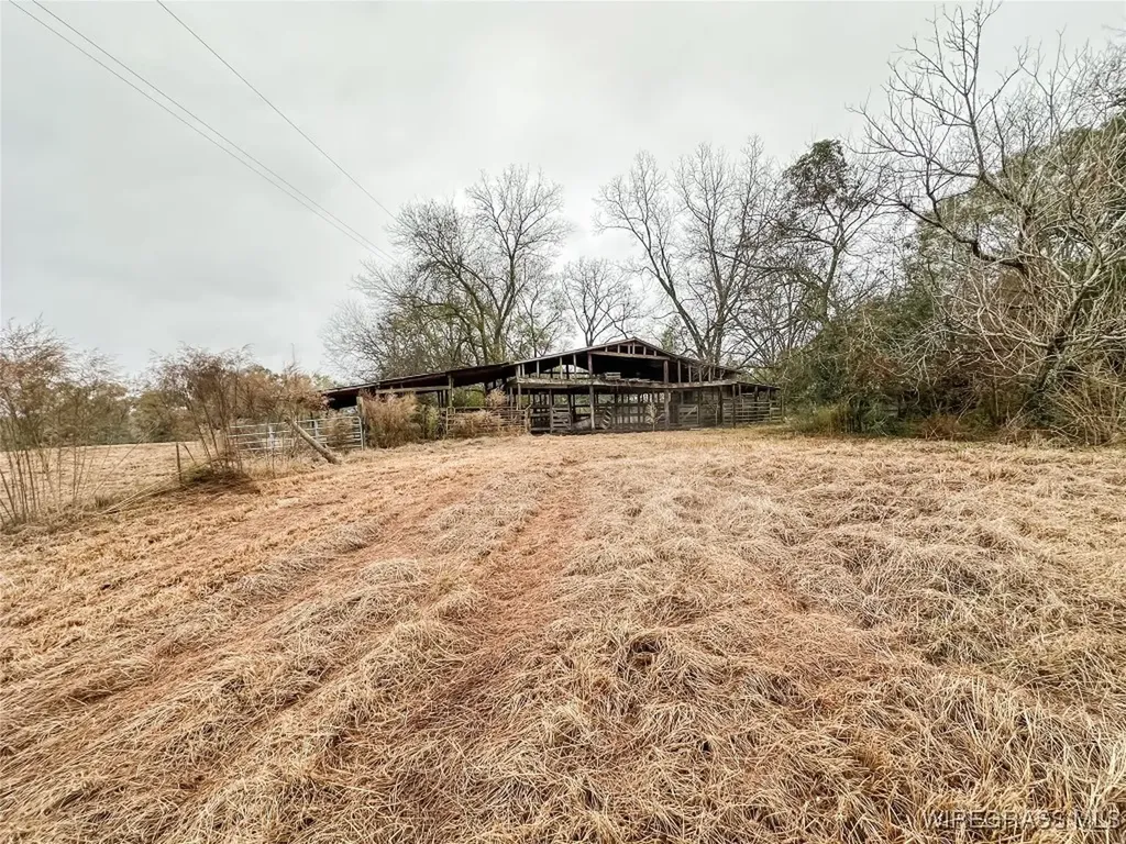 311 O Ashley Road Samson AL 36477