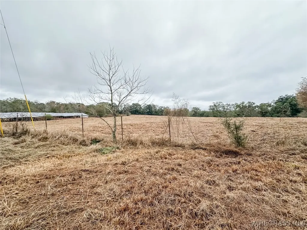 311 O Ashley Road Samson AL 36477