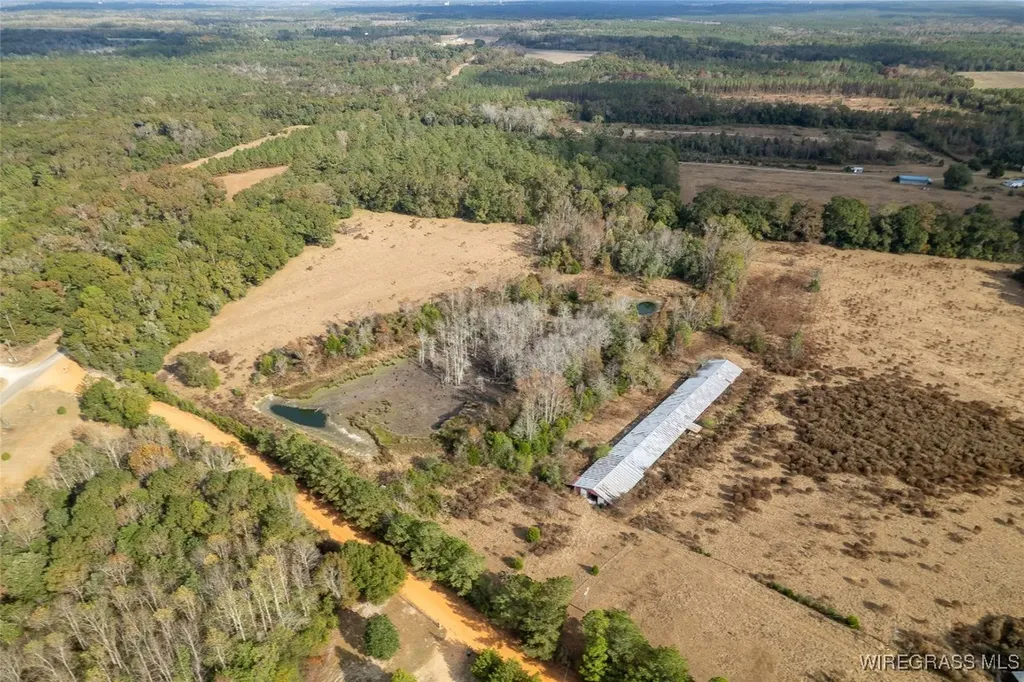 311 O Ashley Road Samson AL 36477