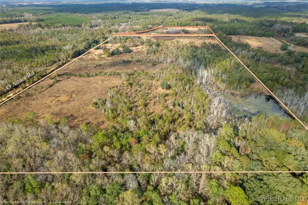 311 O Ashley Road Samson AL 36477