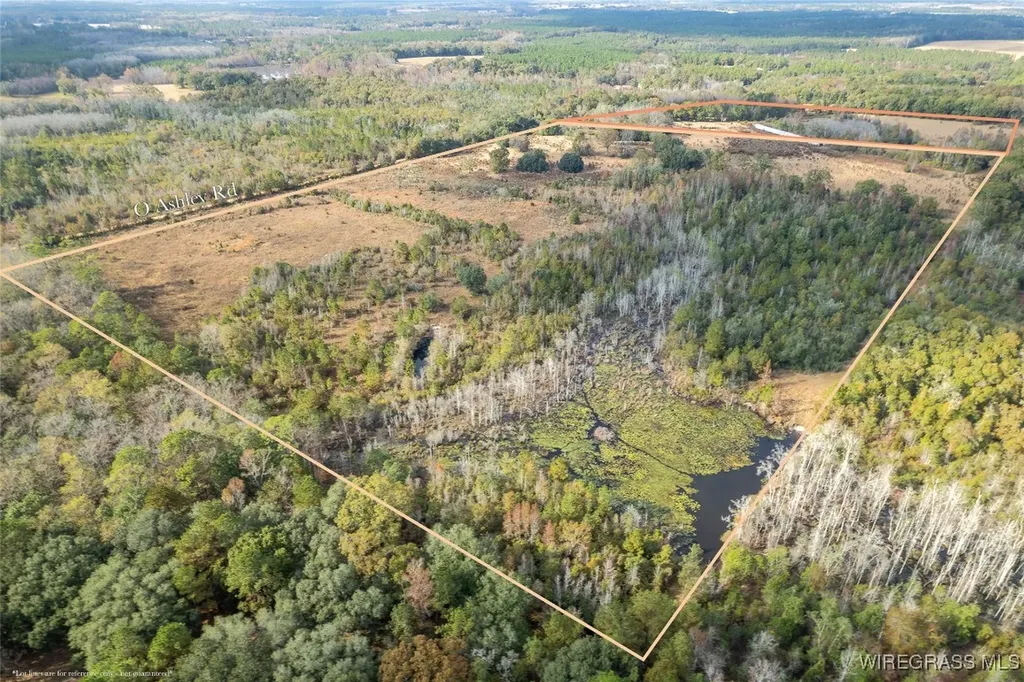 311 O Ashley Road Samson AL 36477