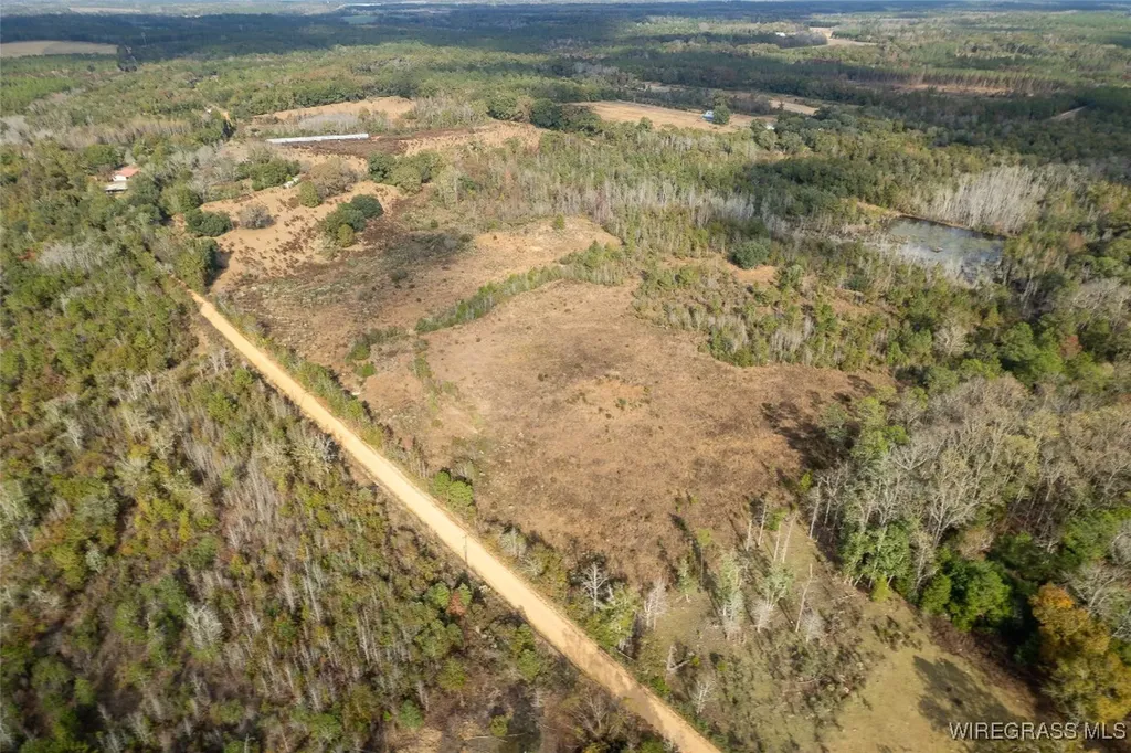 311 O Ashley Road Samson AL 36477