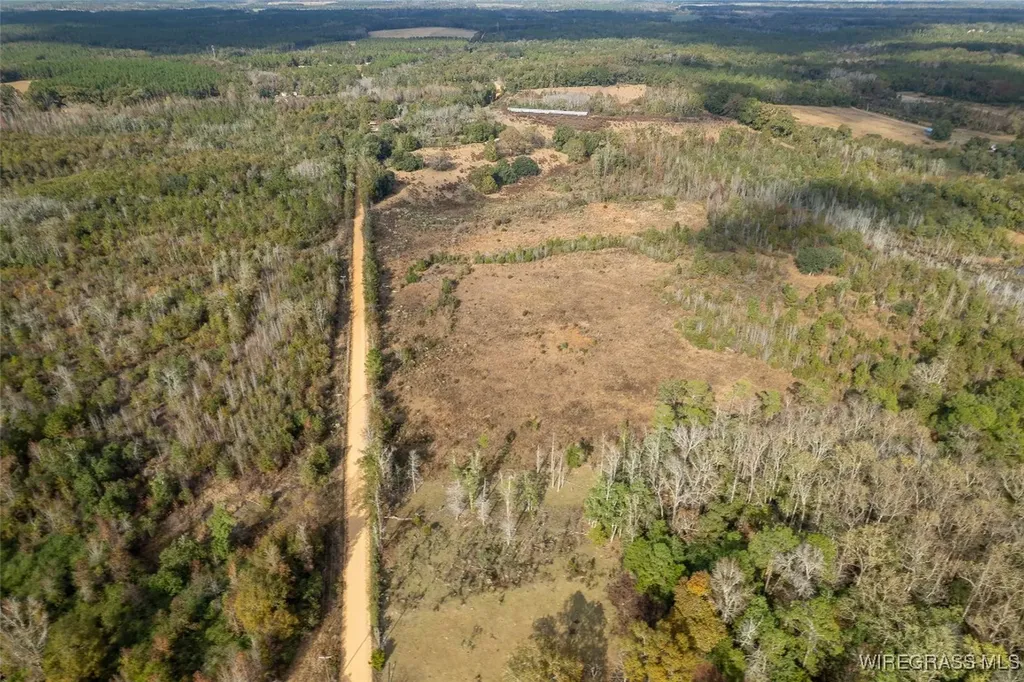 311 O Ashley Road Samson AL 36477