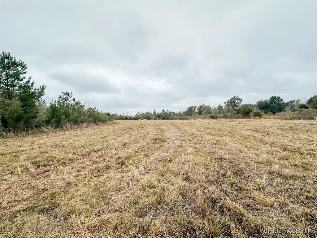 311 O Ashley Road Samson AL 36477