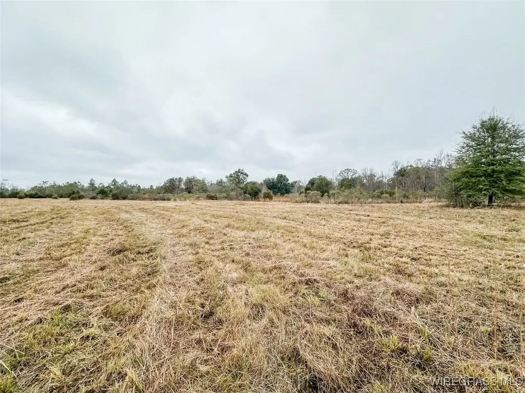 311 O Ashley Road Samson AL 36477