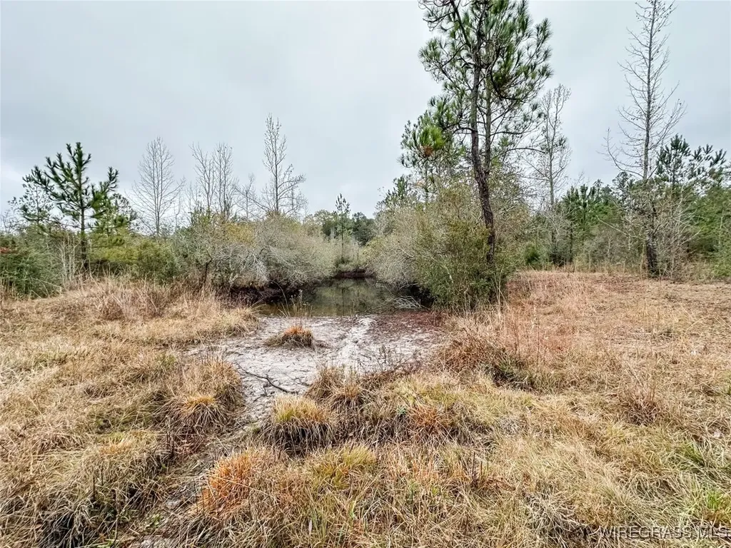 311 O Ashley Road Samson AL 36477