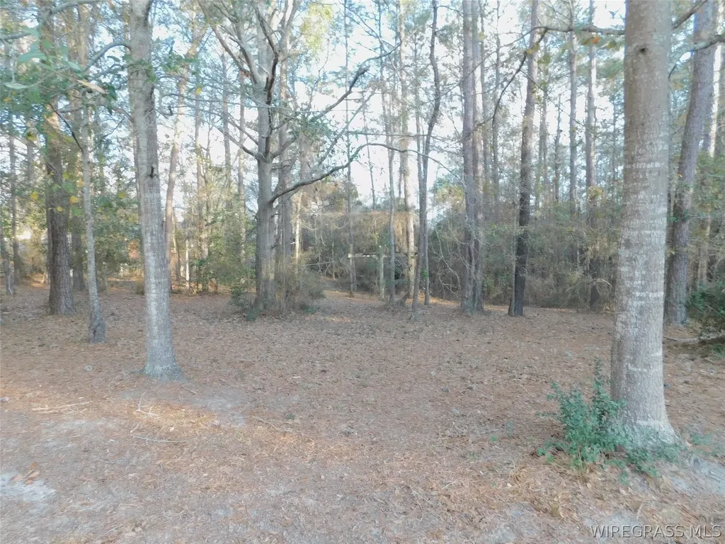 101 Estates Drive Opp AL 36467