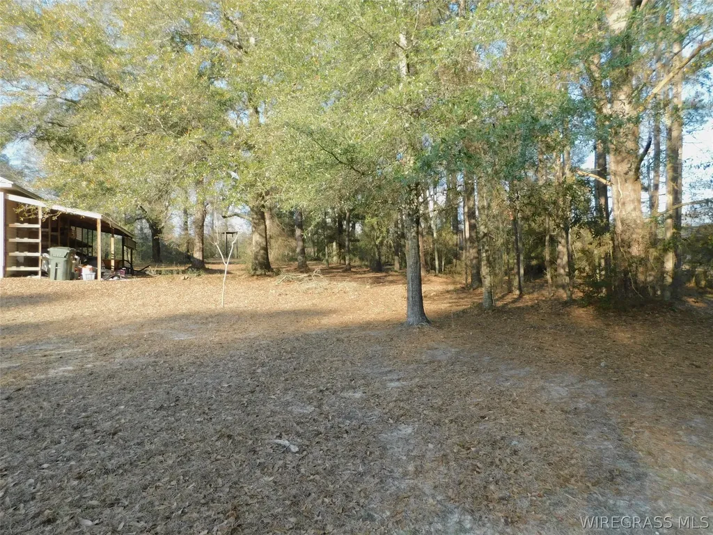 101 Estates Drive Opp AL 36467