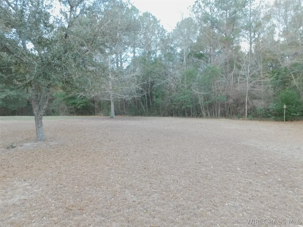 101 Estates Drive Opp AL 36467