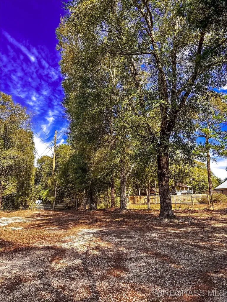 154 Open Pond Road Samson AL 36477