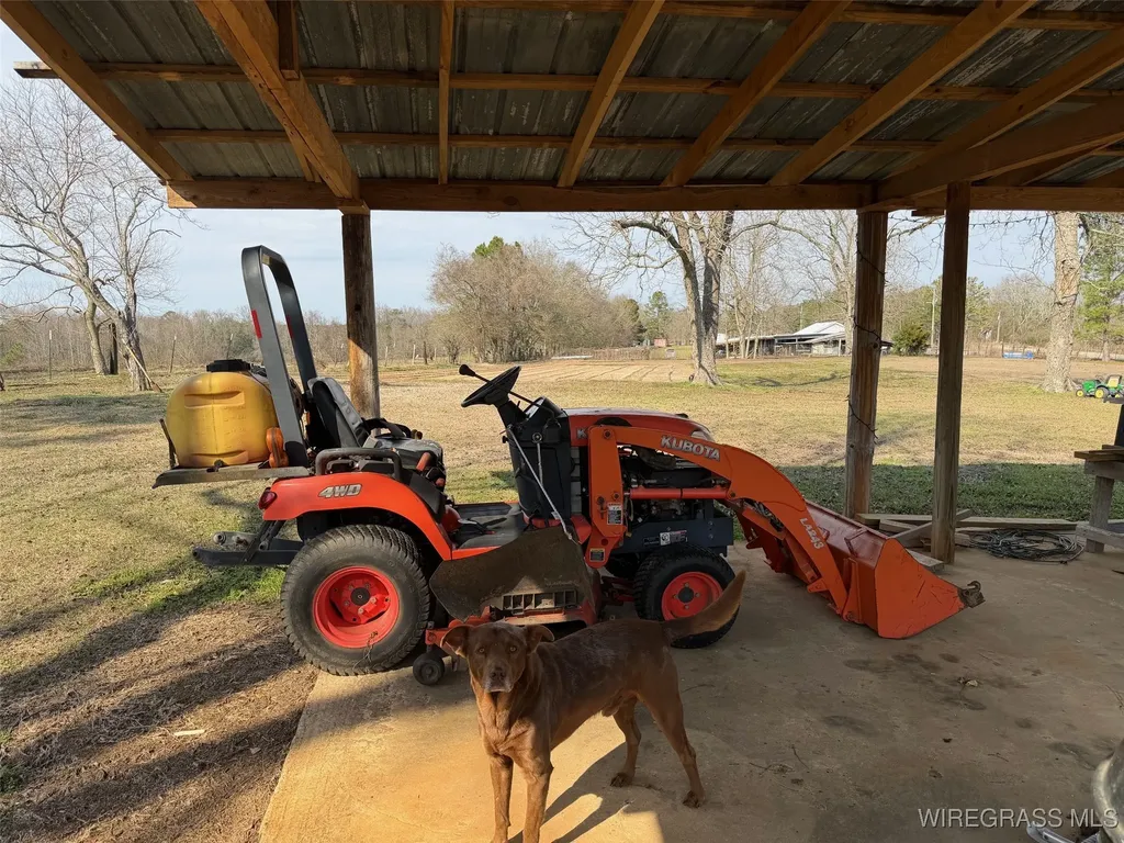 1118 Huggins Street Mckenzie AL 36456