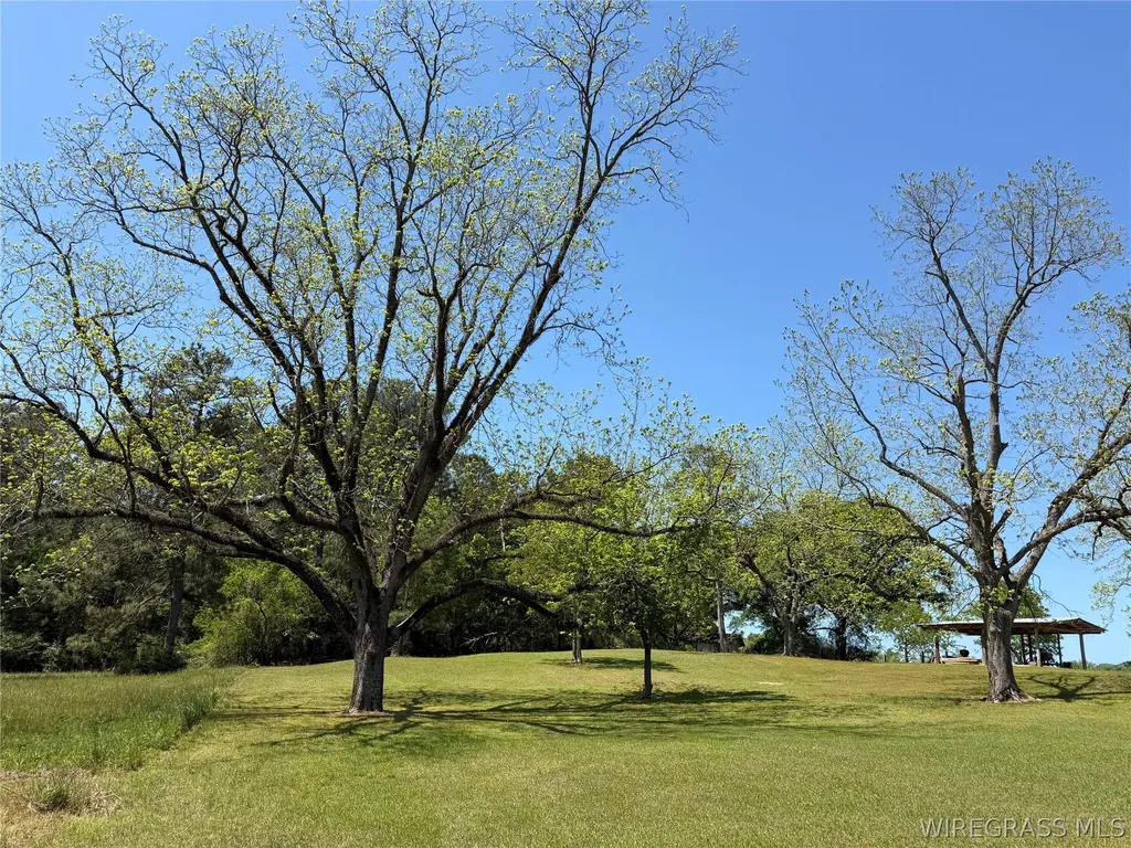 1118 Huggins Street Mckenzie AL 36456