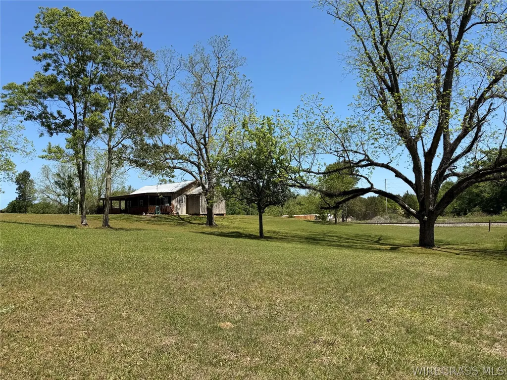 1118 Huggins Street Mckenzie AL 36456