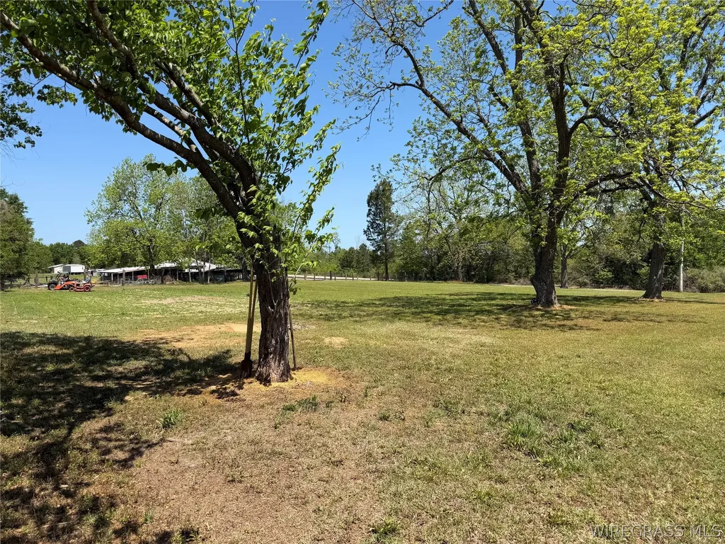 1118 Huggins Street Mckenzie AL 36456