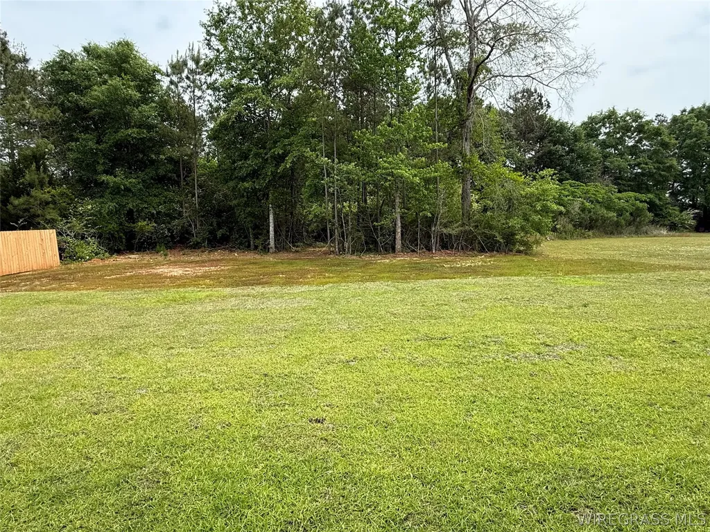 5200 N County Road 514 New Brockton AL 36351