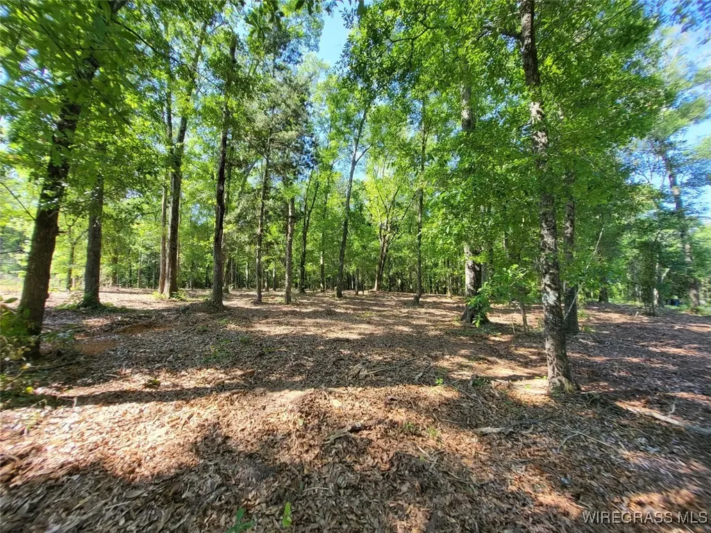 102 Preserve Drive Enterprise AL 36330
