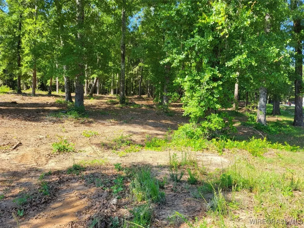 102 Preserve Drive Enterprise AL 36330