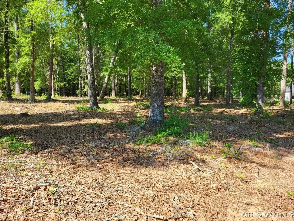 102 Preserve Drive Enterprise AL 36330