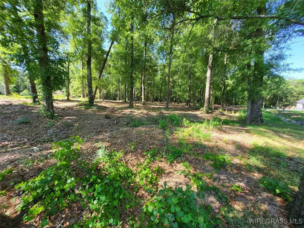 102 Preserve Drive Enterprise AL 36330