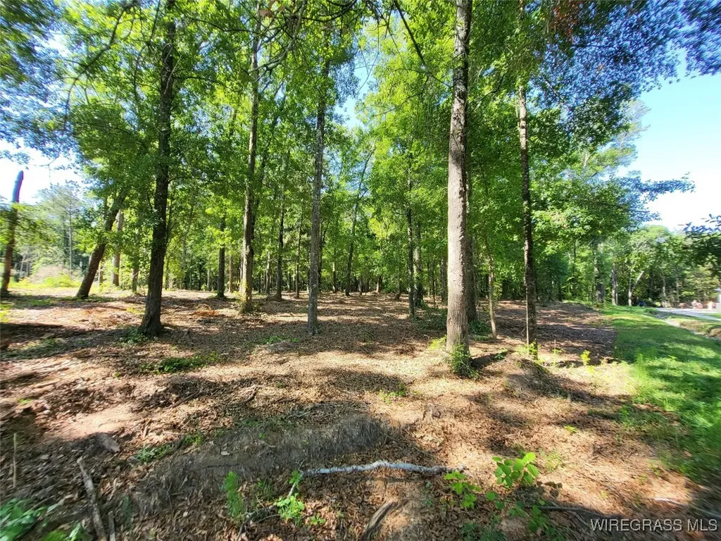 102 Preserve Drive Enterprise AL 36330