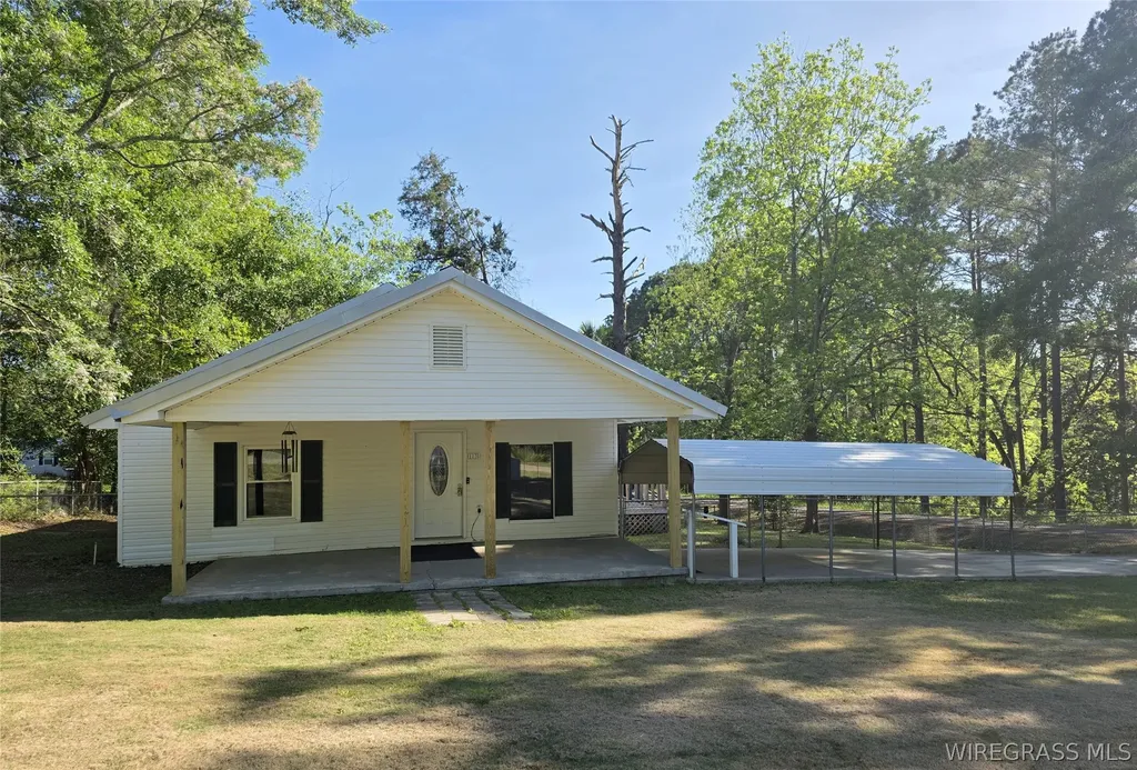 173 W Mount Carmel Avenue Coffee Springs AL 36318