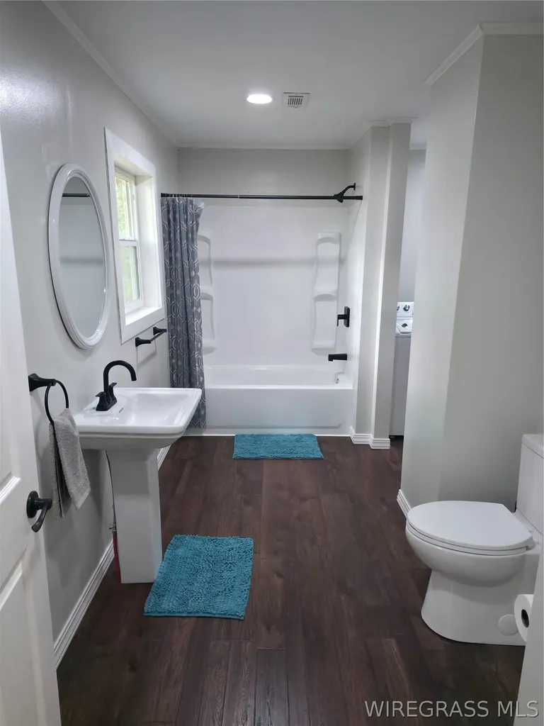 173 W Mount Carmel Avenue Coffee Springs AL 36318