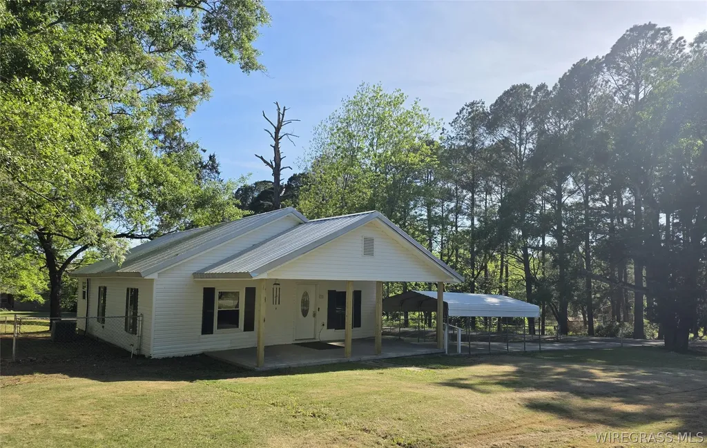 173 W Mount Carmel Avenue Coffee Springs AL 36318