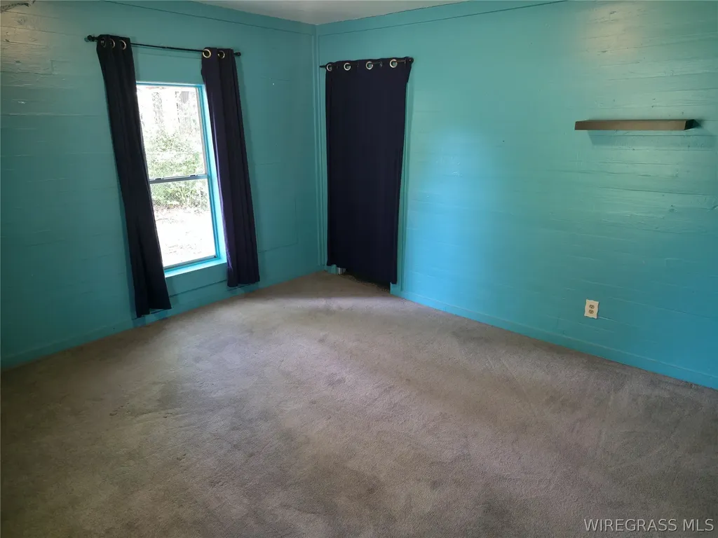 173 W Mount Carmel Avenue Coffee Springs AL 36318