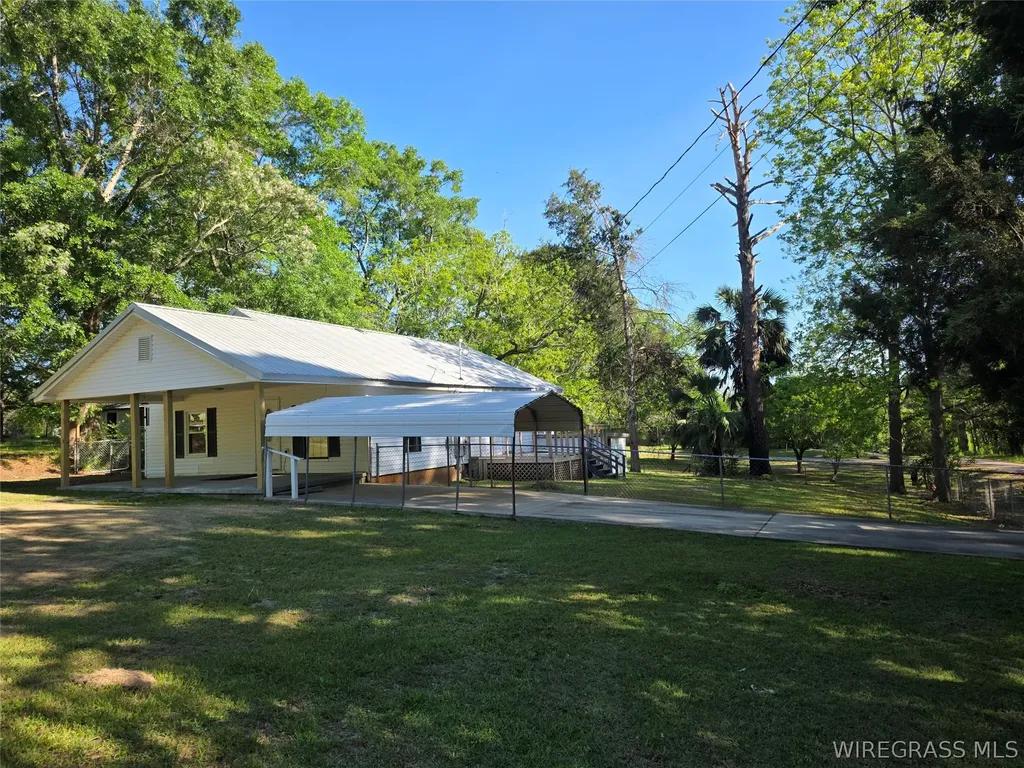 173 W Mount Carmel Avenue Coffee Springs AL 36318