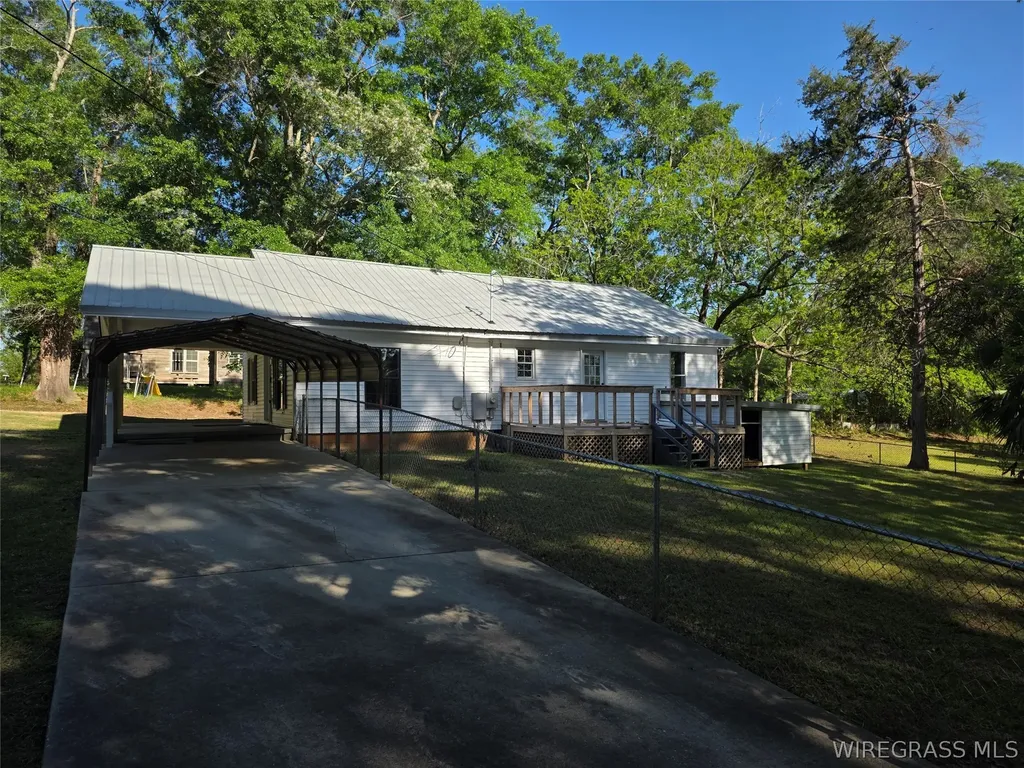 173 W Mount Carmel Avenue Coffee Springs AL 36318