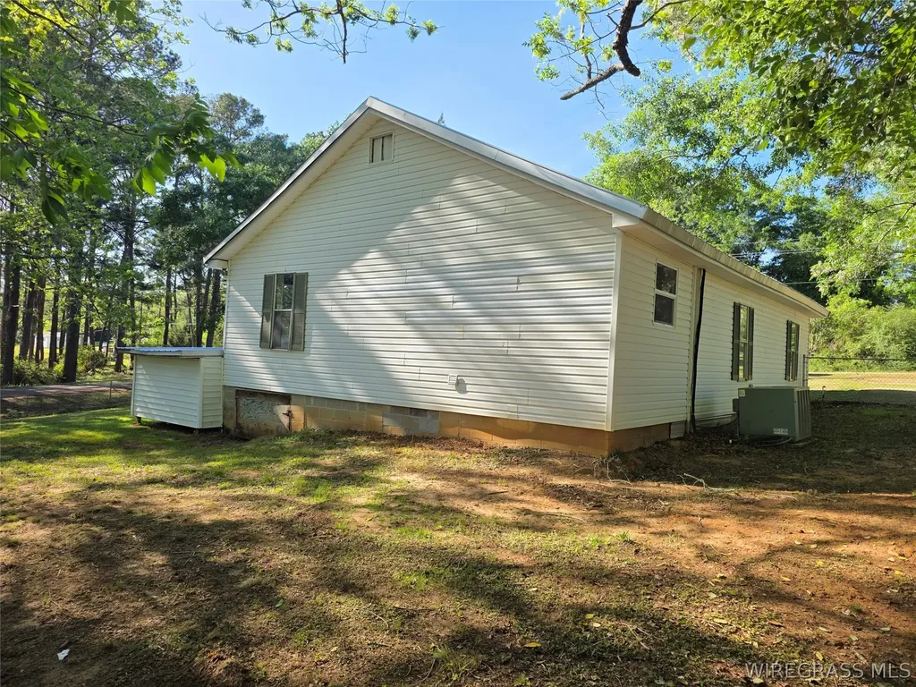 173 W Mount Carmel Avenue Coffee Springs AL 36318