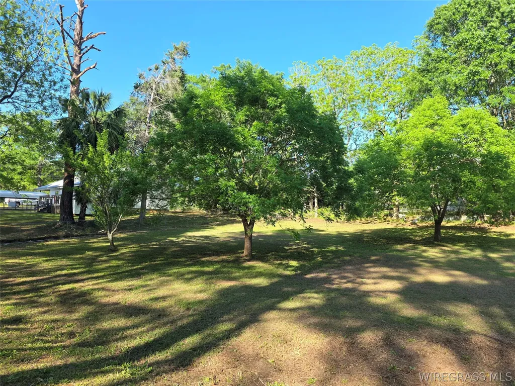 173 W Mount Carmel Avenue Coffee Springs AL 36318