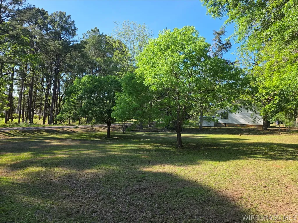 173 W Mount Carmel Avenue Coffee Springs AL 36318