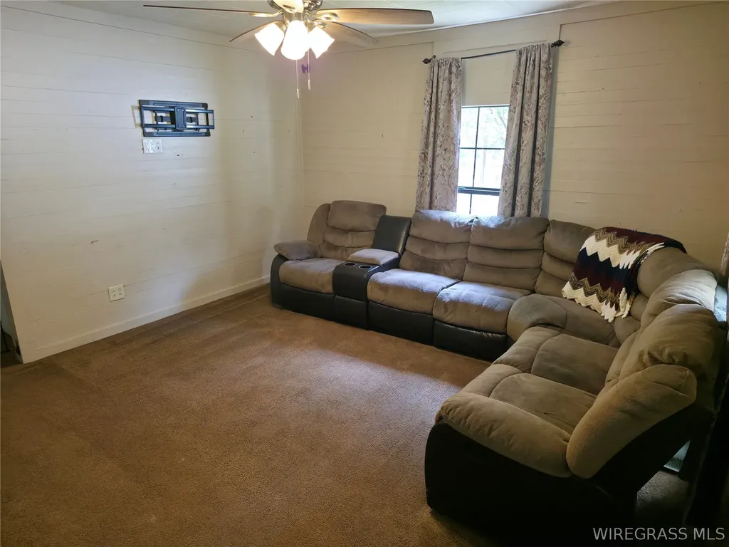 173 W Mount Carmel Avenue Coffee Springs AL 36318