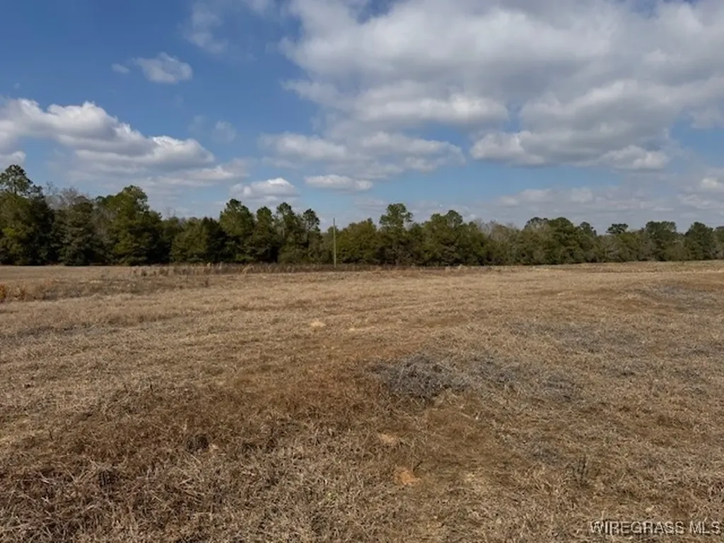 0 County Road 6 Black AL 36340