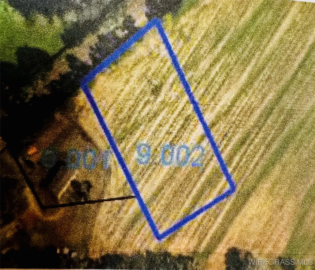 0 County Road 6 Black AL 36340