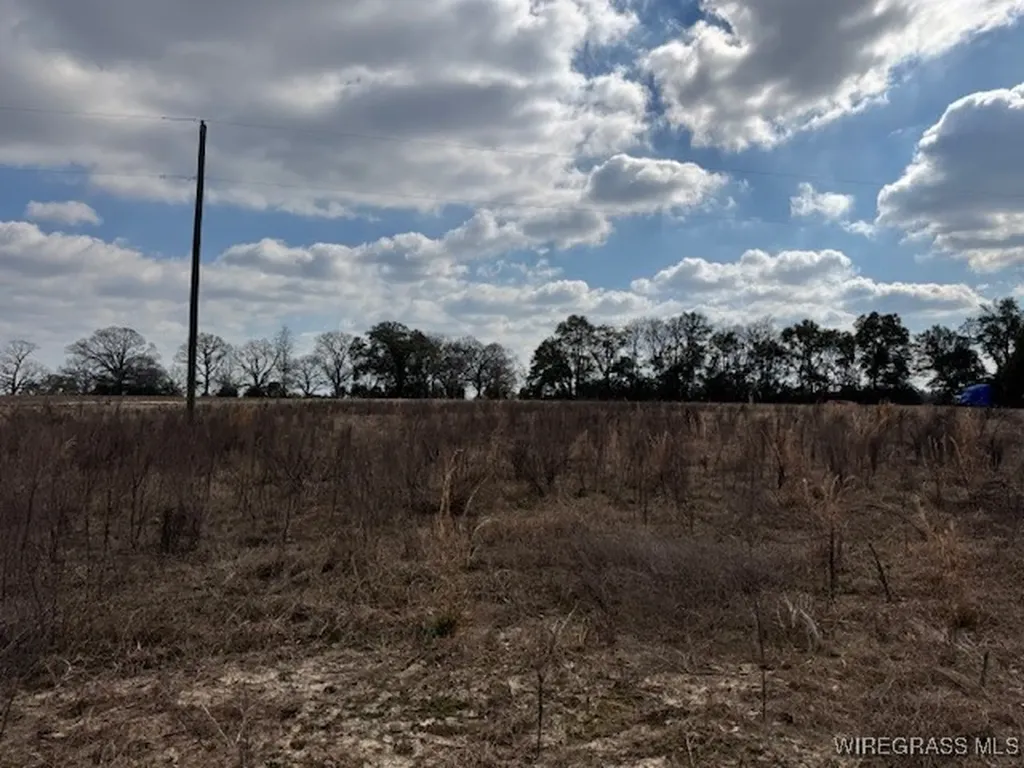 0 County Road 6 Black AL 36340