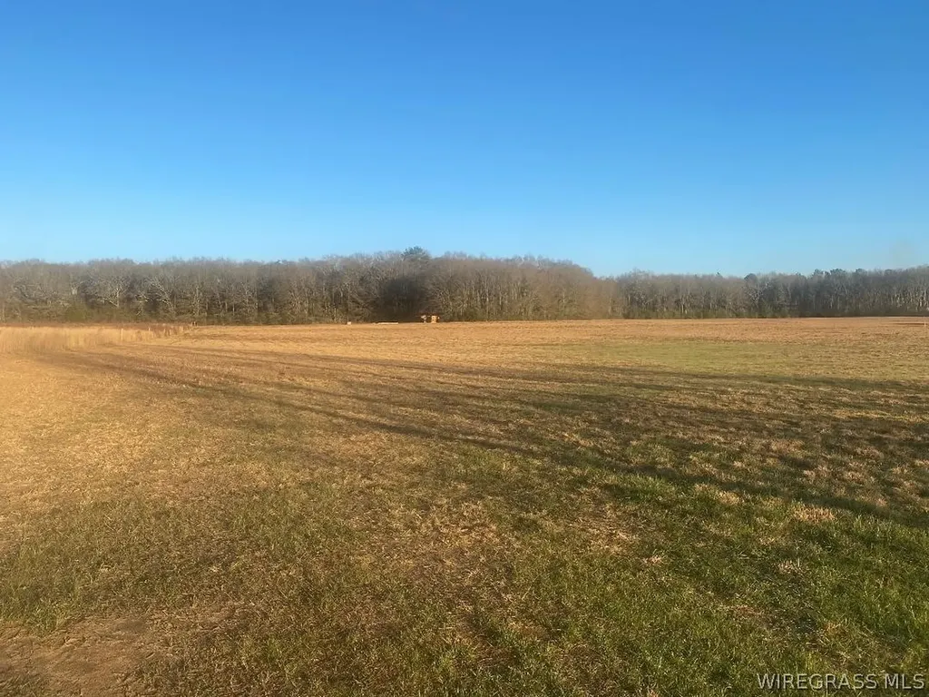 0 County Road 625 Enterprise AL 36330