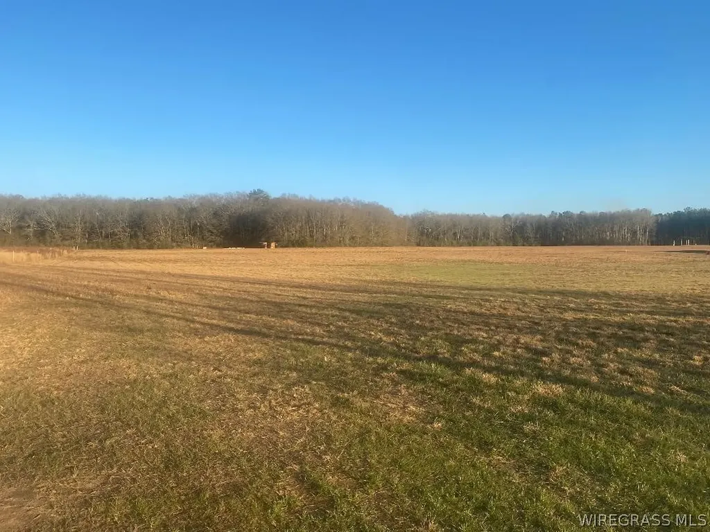 0 County Road 625 Enterprise AL 36330