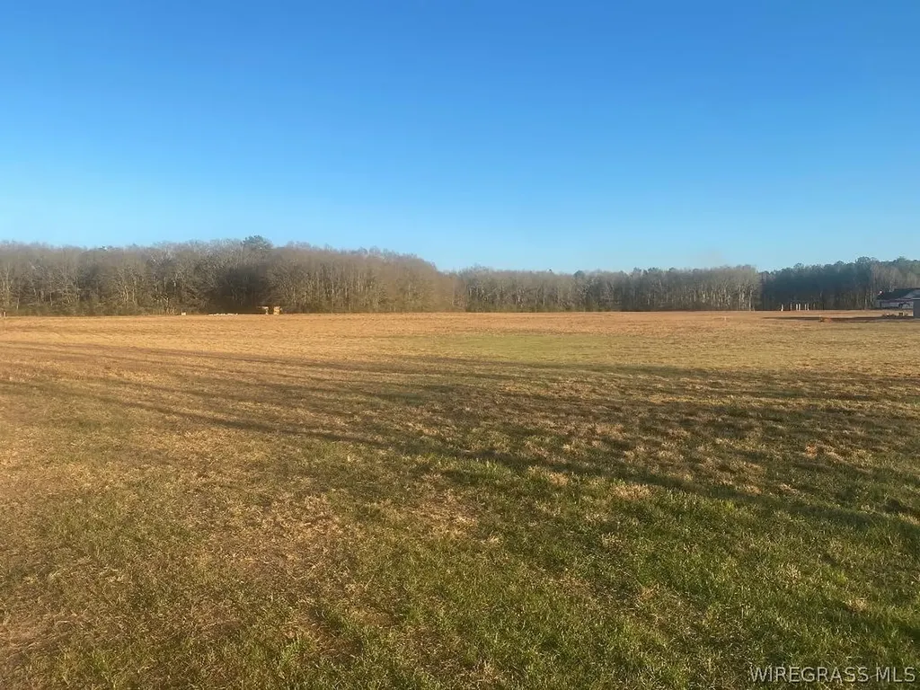 0 County Road 625 Enterprise AL 36330