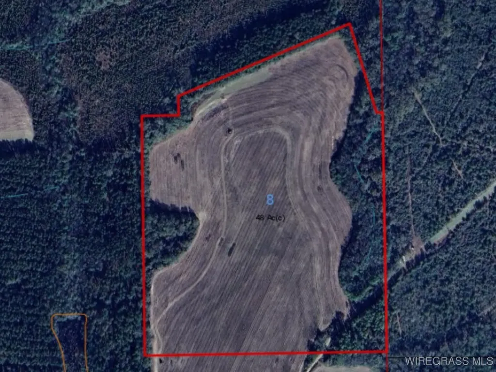 0 Chamblee Road Kinston AL 36453