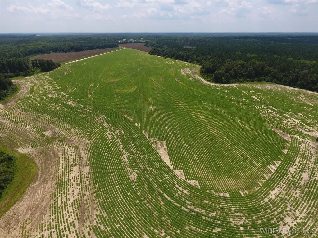 0 Chamblee Road Kinston AL 36453