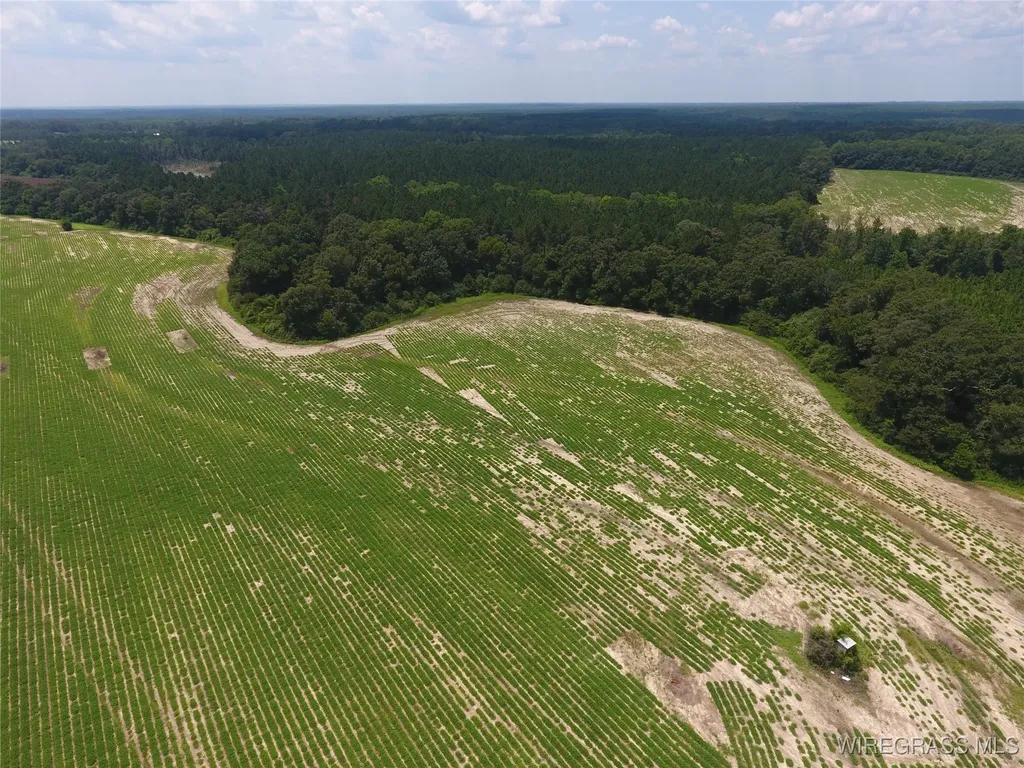 0 Chamblee Road Kinston AL 36453