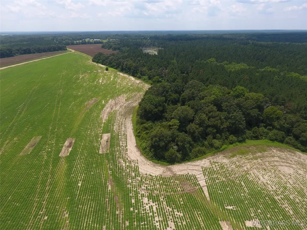 0 Chamblee Road Kinston AL 36453