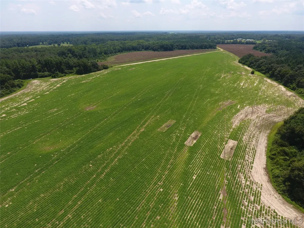 0 Chamblee Road Kinston AL 36453