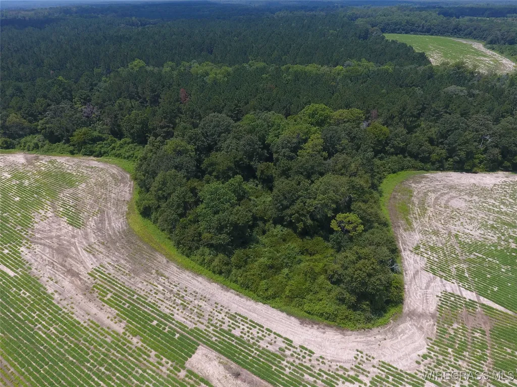 0 Chamblee Road Kinston AL 36453