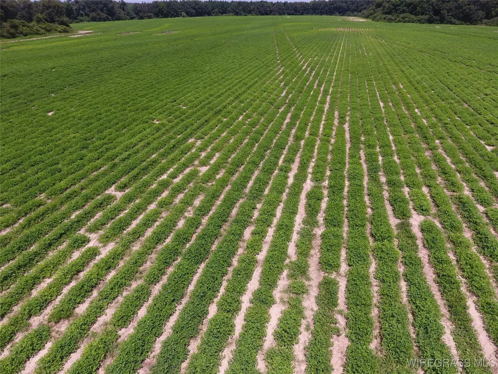 0 Chamblee Road Kinston AL 36453